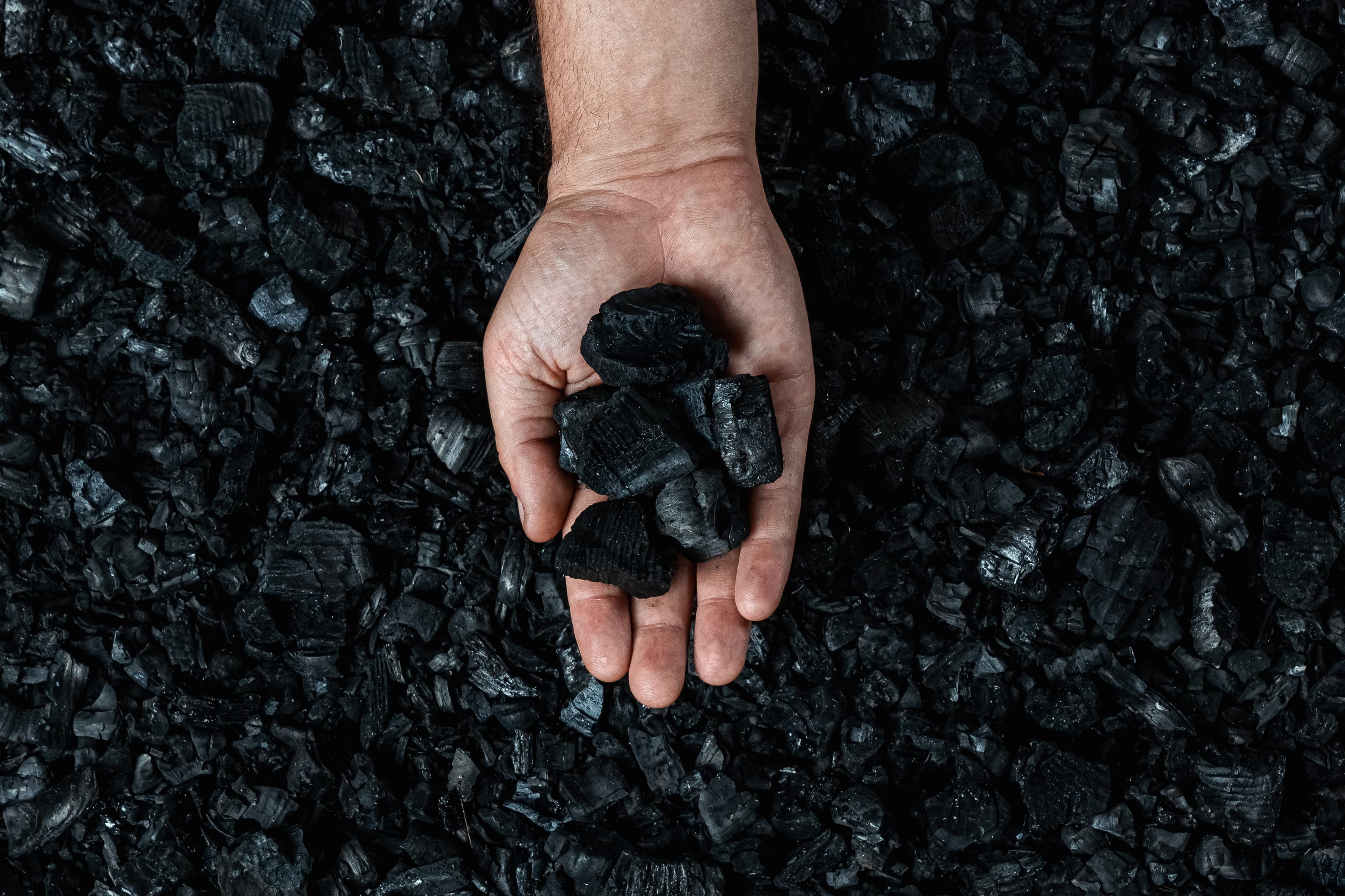Dina Diba charcoal and production